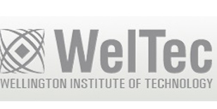 惠灵顿理工学院 